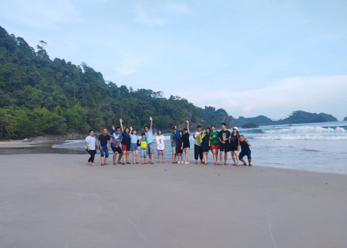 Pulau Kelapa Candu Bagi Pecinta Atraksi Lumba Lumba