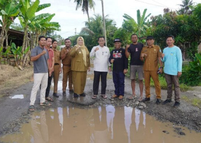 Wabup Pringsewu Umi Laila Tinjau Jalan Rusak Yang Viral di Medsos