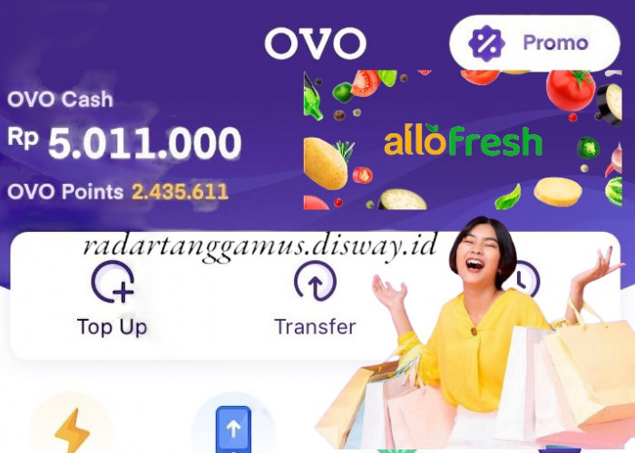 Pengguna Setia OVO Cash Masih Mendapatkan Kesempatan Saldo Gratis Dari Allofresh
