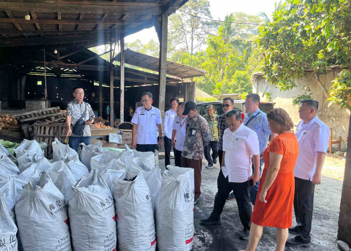 Tanggamus Bidik Investor China, Industri Kelapa dan Perikanan Mulai Dijajaki