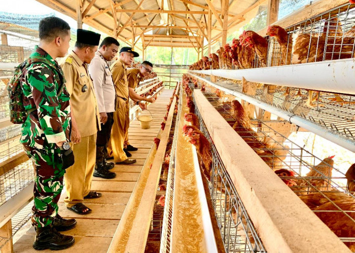 Produksi Telur Ayam Desa Banjarmasin Sokong Program Ketahanan Pangan 
