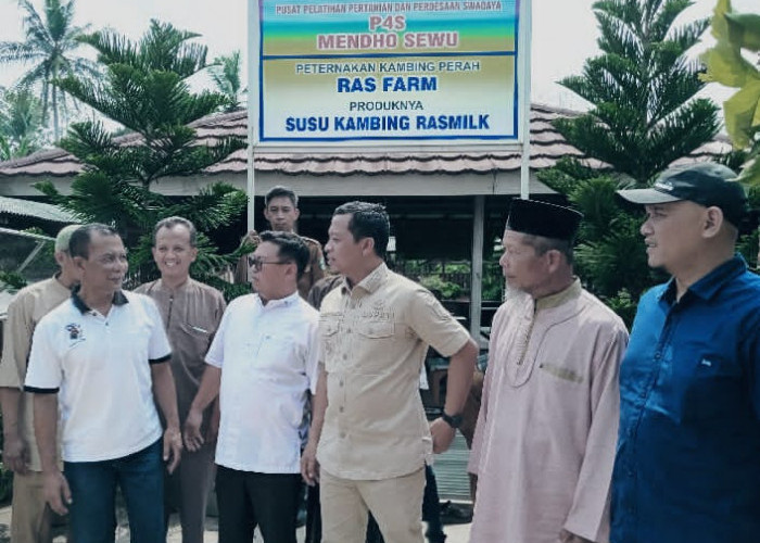 Bupati Pringsewu Tinjau Peternakan Kambing Perah, Soroti Kendala Pemasaran Susu