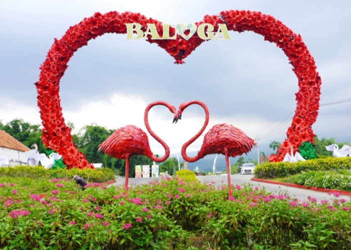 Ini Rekomendasi 4  Wisata Alam Taman Bunga di Batu Malang yang Sangat Populer dan Instagramable