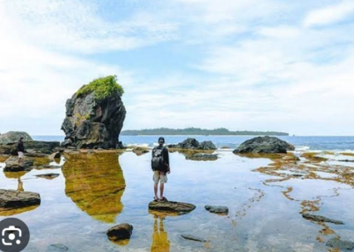 5 Tempat Wisata di Kabupaten Pesisir Barat, Nomor 3 Memiliki Batu Karang Dengan Bentuk dan Warna Yang Indah