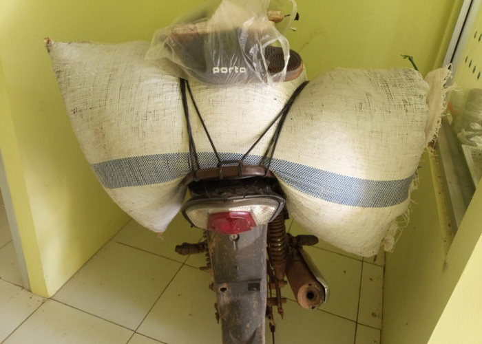 Patroli Dini Hari, Polisi Gagalkan Dugaan Pencurian Kopi di Ulu Belu