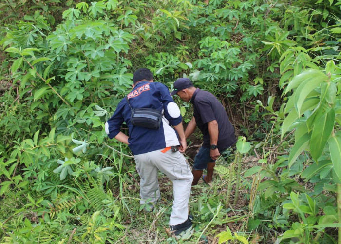 Pelaku Pembunuhan Pria di Persawahan Pekon Soponyono Ternyata Residivis Kasus Curas