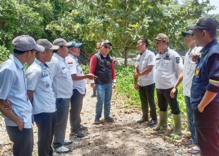 Warga Hingga Kakon Inginkan Jalan Kiluan Negeri Mulus, Ini Kata Camat Kelumbayan 