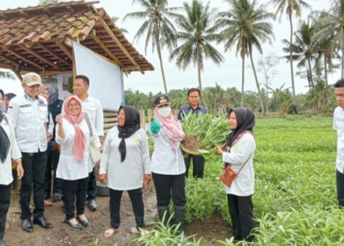 Bupati Tanggamus Lampung, Ajak KWT Kembangkan Inovasi