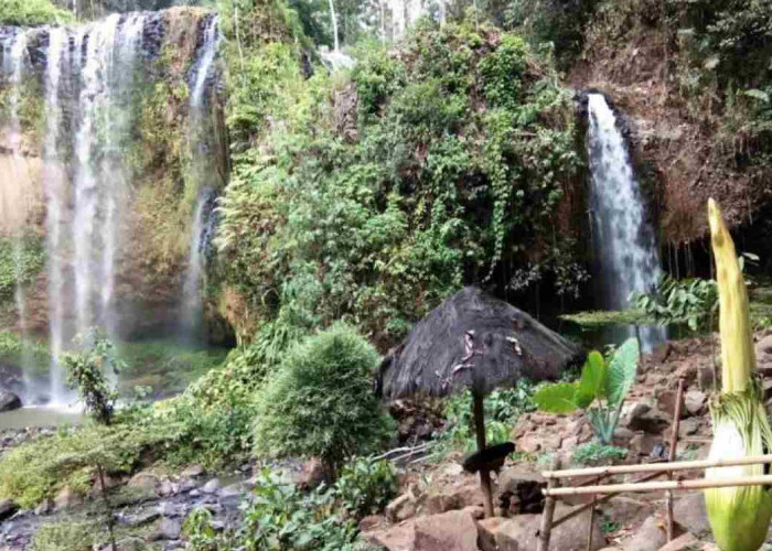 Pekon Datar Lebuay, Gudangnya Wisata Air Terjun Di Kabupaten. Segini Jumlahnya