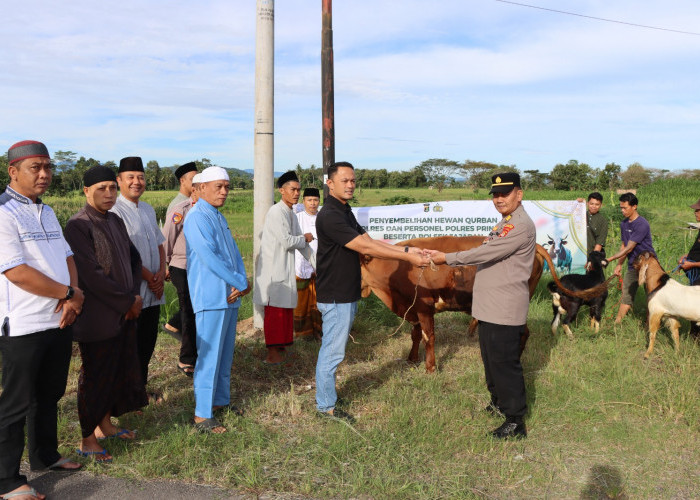 Polres Pringsewu Tebar Kurban Iduladha, Daging Dibagikan ke Ponpes dan Warga