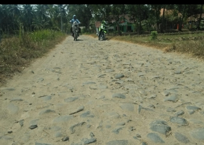Warga Pekon Sidodadi, Kecamatan Semaka Mengharapkan Pembangunan Jalan