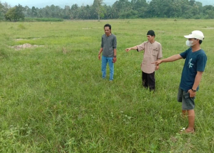Ratusan Hektar Sawah Kekeringan, Petani di BNS Meradang