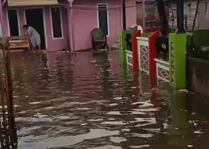 Kendati Banjir Rob Telah Surut, Warga Kapuran Masih Was-was