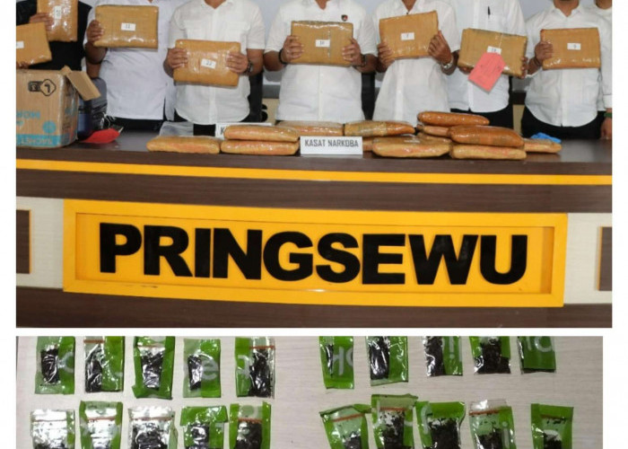 Berawal dari Pelanggaran Helm, Polisi Pringsewu Amankan 43 Paket Tembakau Sintetis