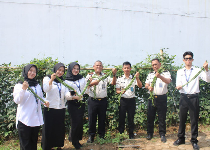 Panen 30 Kg Kacang Panjang, Lapas Kotaagung Perkuat Pembinaan dan Ketahanan Pangan