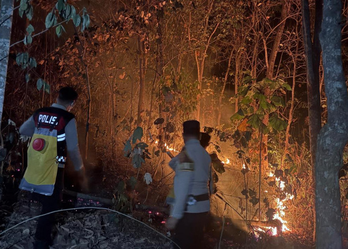 Api Kembali Muncul di Bukit Tambahrejo, Tim Gabungan Berjibaku hingga Tengah Malam