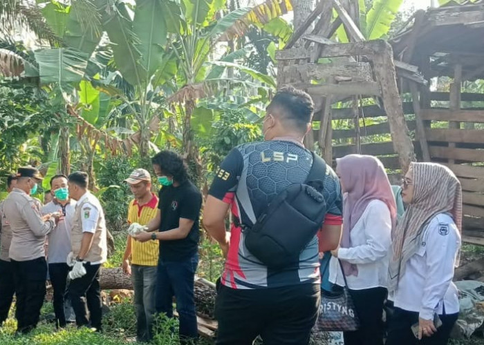 Kurir Paket Asal Pekon Dadapan Ditemukan Tewas Tergantung di Pohon Alpukat 