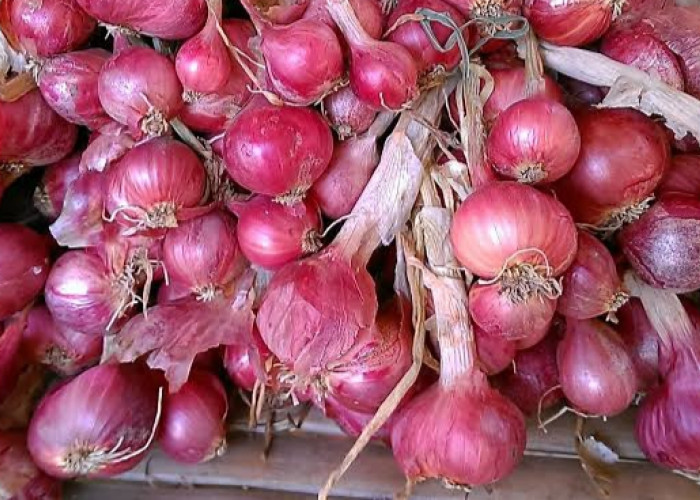 5 Manfaat Bawang Merah untuk Kesehatan 