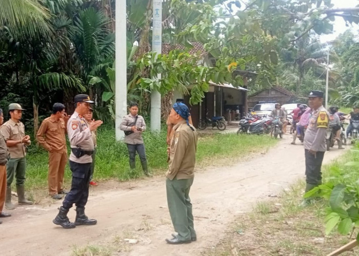 Gajah Liar Masuk Pemukiman Warga, Tim Gabungan Lakukan Penggiringan