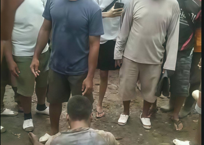 Beraksi 3 Tahun di Pringsewu, Komplotan Pencuri Sapi Akhirnya Ditangkap Polisi