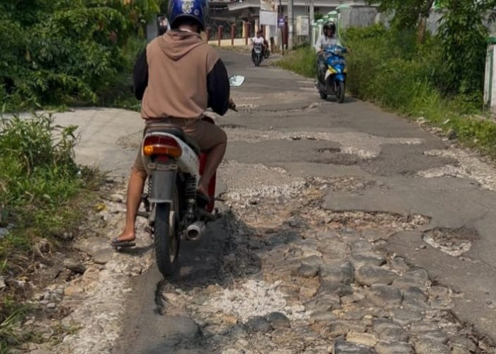 Miris! Akses Penghubung Empat Pekon di Kotaagung Rusak Parah