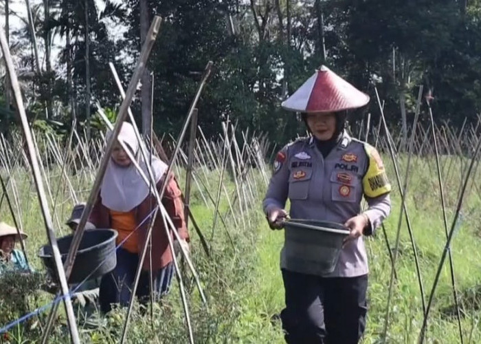 Jalin Kedekatan dengan Masyarakat, Bhabinkamtibmas Polsek Talangpadang Beri Motivasi ke Petani Rampai