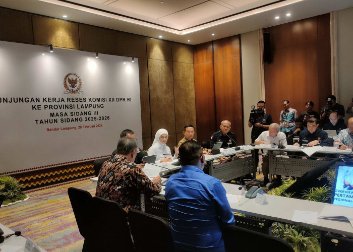 Potensi Migas Lampung 830 Juta Barel, Lima Kabupaten Bakal Disurvei Seismik