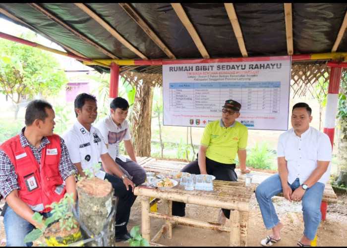 Cegah Longsor, SIBAT PMI dan Aparat Pekon Sedayu Tanam Ribuan Pohon di Pinggir Sungai