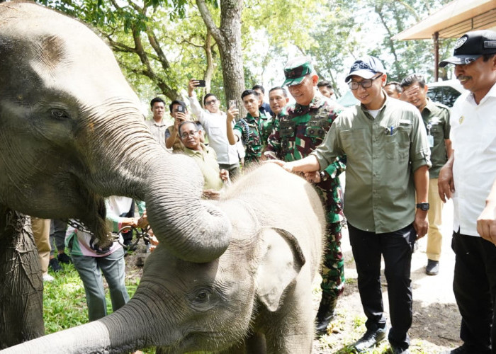 Presiden Prabowo Siapkan Rp 839 Miliar untuk Way Kambas, Gubernur Lampung Sampaikan Apresiasi