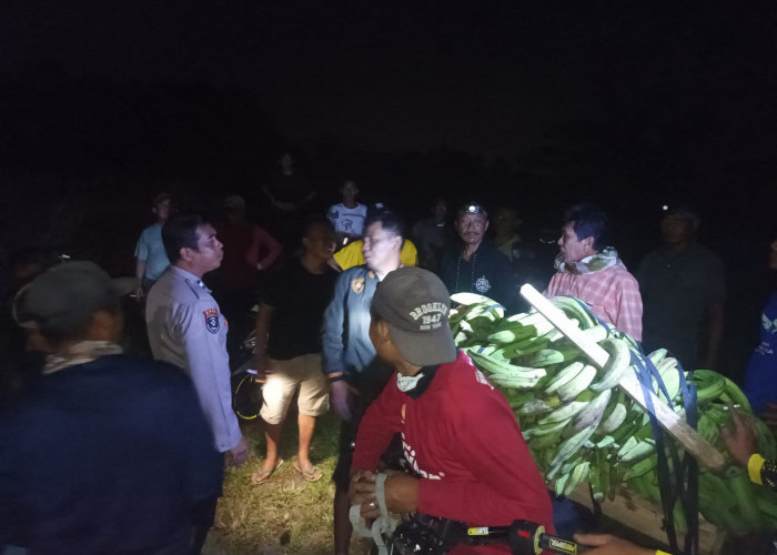 Polisi Amankan Pria Diduga Curi 11 Tandan Pisang di Kota Agung Timur