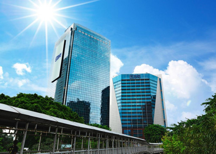 PPATK Blokir Rekening Pasif, Begini Respon BRI 