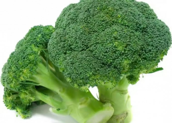 Berikut Daftar Rempahan dan Sayuran yang Bermanfaat untuk  Pembersih Darah Alami, Salah Satunya Brokoli.