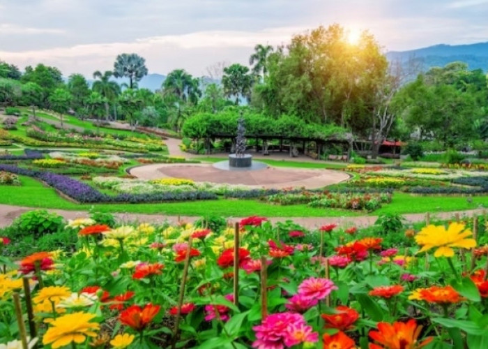 Taman Bunga Kadung Hejo, Hidden Gem Bagi Pecinta Bunga dan Tanaman Hias