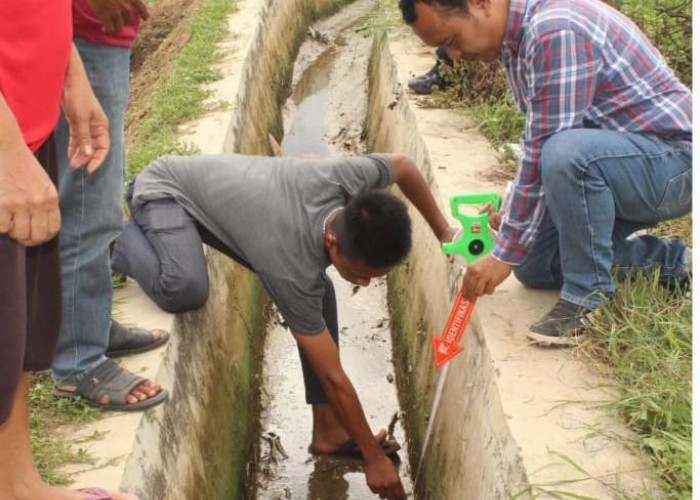 Seorang Kakek di Pringsewu Ditemukan Meninggal di Saluran Irigasi