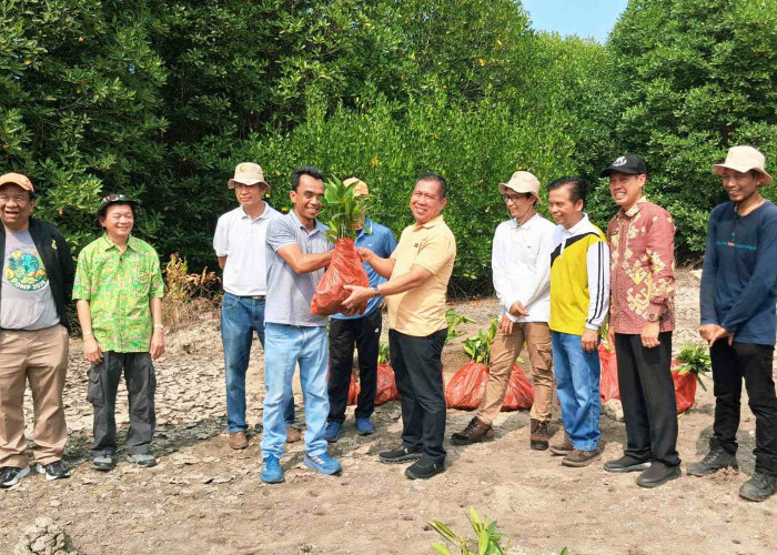 Forum CSR Lampung Tanam 4.000 Mangrove