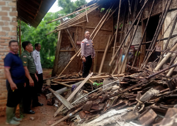 Akibat Lapuk, Dapur Rumah Nenek Sebatang Kara di Pringsewu Roboh