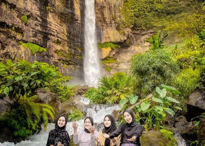 Ini 5 Rekomendasi Destinasi Wisata  Wajib dikunjungi di Lumajang Mulai Air Terjun Hingga Perkebunan Teh