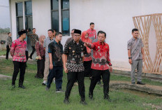 Gubernur Lampung Dorong Hilirisasi Singkong Saat Tinjau Sentra Mocaf di Pringsewu