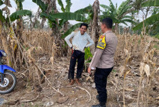 Polisi Pringsewu Gencarkan Patroli Karhutla, Warga Diingatkan Tak Bakar Lahan