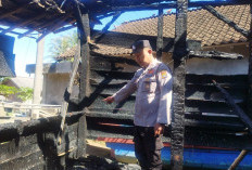 Rumah Warga di Pekon Ketapang Hangus Terbakar, Kerugian Ditaksir Capai Rp70 Juta