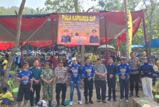 700 Penghobi Merpati Kolong Ramaikan Bhayangkara Cup Pringsewu