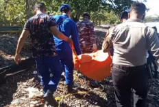 Mayat Pria Tanpa Identitas Ditemukan Mengambang di  Pantai Kota Agung Timur