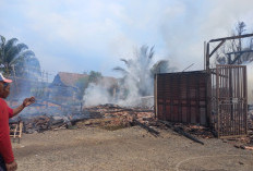 Rumah Warga Pringsewu Ludes Terbakar, 13 Sertifikat Tanah dan 5 BPKB Mobil Hangus