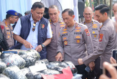 Operasi 14 Hari, Polda Lampung Ungkap 379 Kasus Narkoba