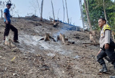 Dua Titik Karhutla di Tanggamus Padam, Polisi Ingatkan Warga Tak Bakar Lahan