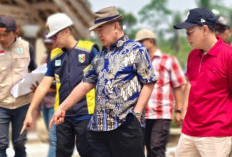 Tinjau Pembangunan Jalan Bupati Tanggamus Pelototi Kualitas 