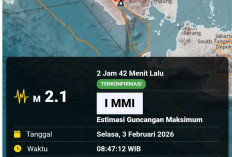 Gempa Magnitudo 2,1 Guncang Tanggamus, BMKG: Tidak Berpotensi Tsunami