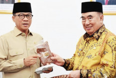 Mendes Dorong Digitalisasi Produk Desa Tanggamus Tembus Pasar Global