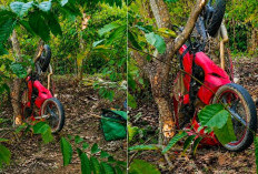 Bonceng Empat, Motor Diduga Rem Blong Terjun ke Jurang di Leter S Talang Jawa Ulubelu 