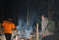 Kebakaran Lahan Perkebunan di Cukuh Balak Meluas hingga Satu Hektare